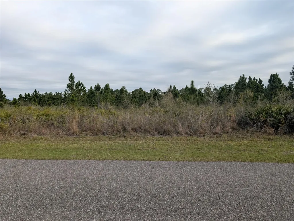 218 Poinciana Drive Indian Lake Estates FL 33855