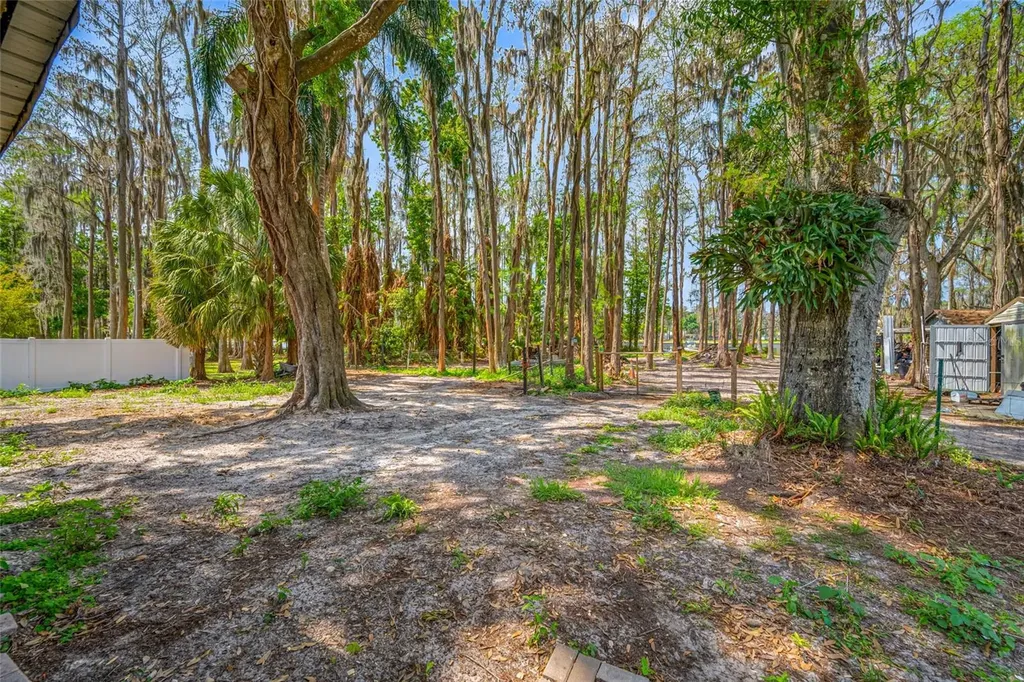 19202 Rogers Road Odessa FL 33556