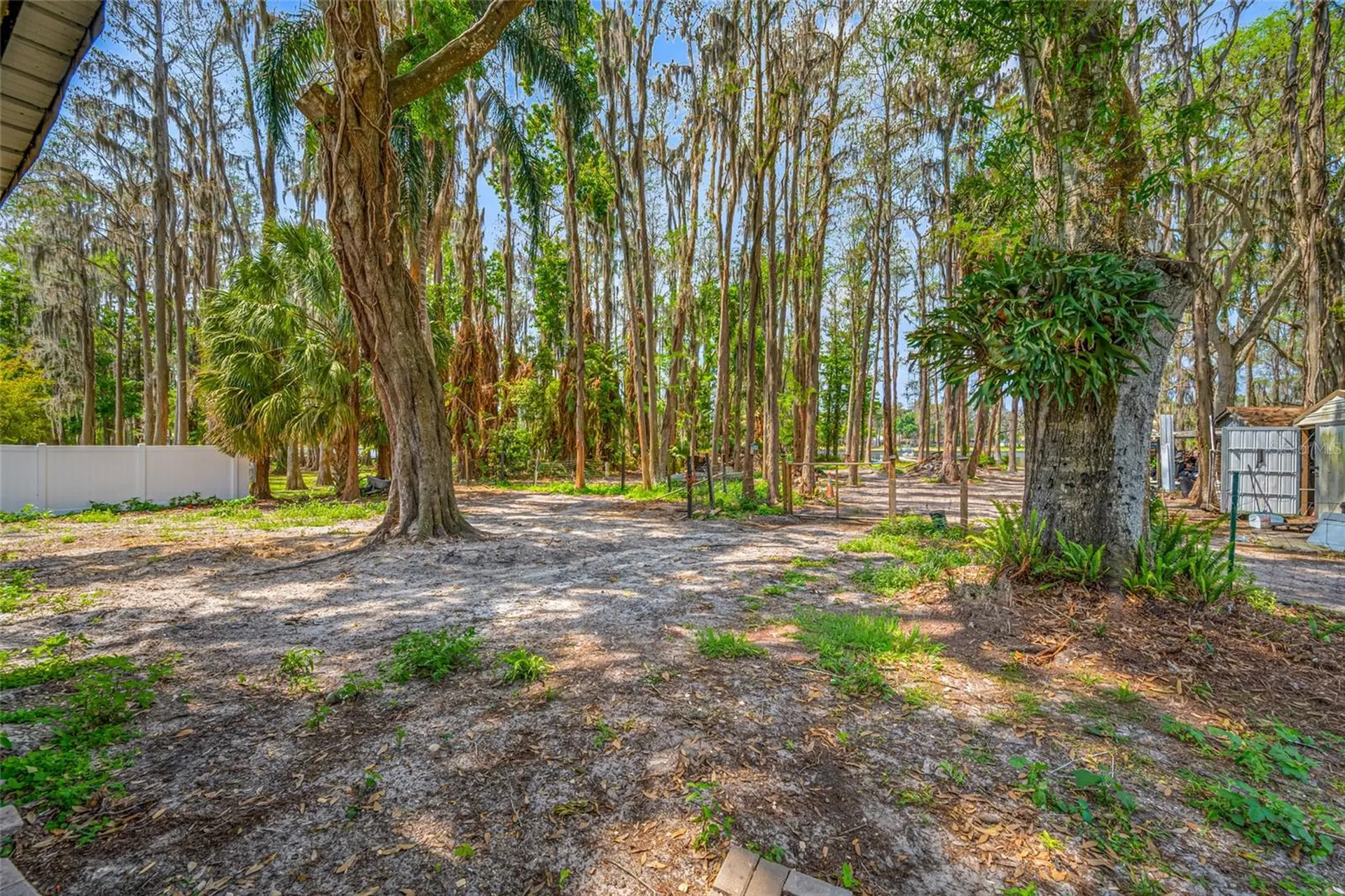 19202 Rogers Road Odessa FL 33556