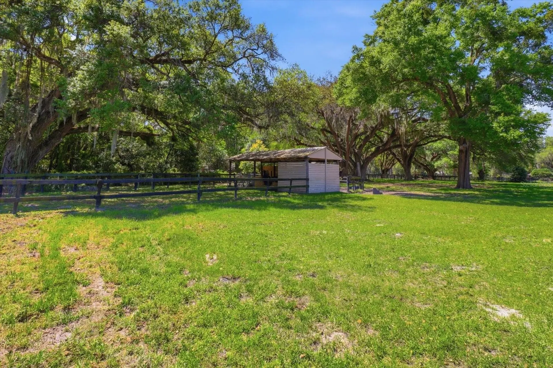 1040 SE 162nd Place Summerfield FL 34491