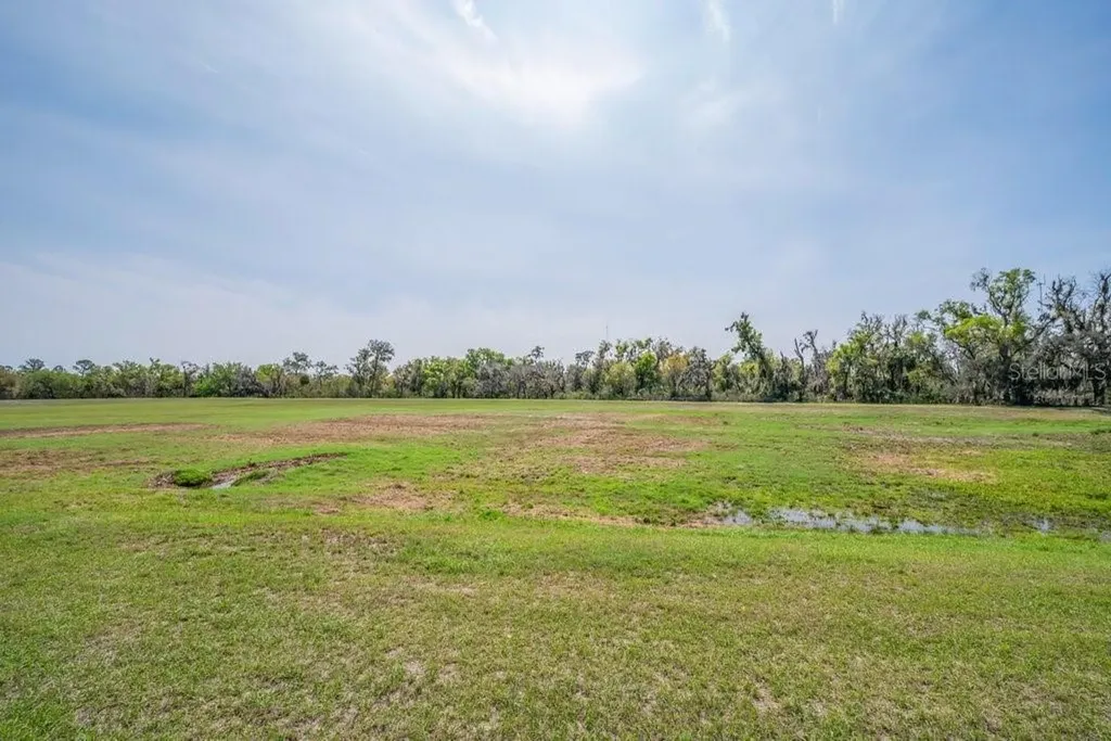 6002 Watercolor Drive Lithia FL 33547