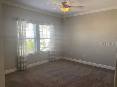 1114 Coral Lane Dunedin FL 34698