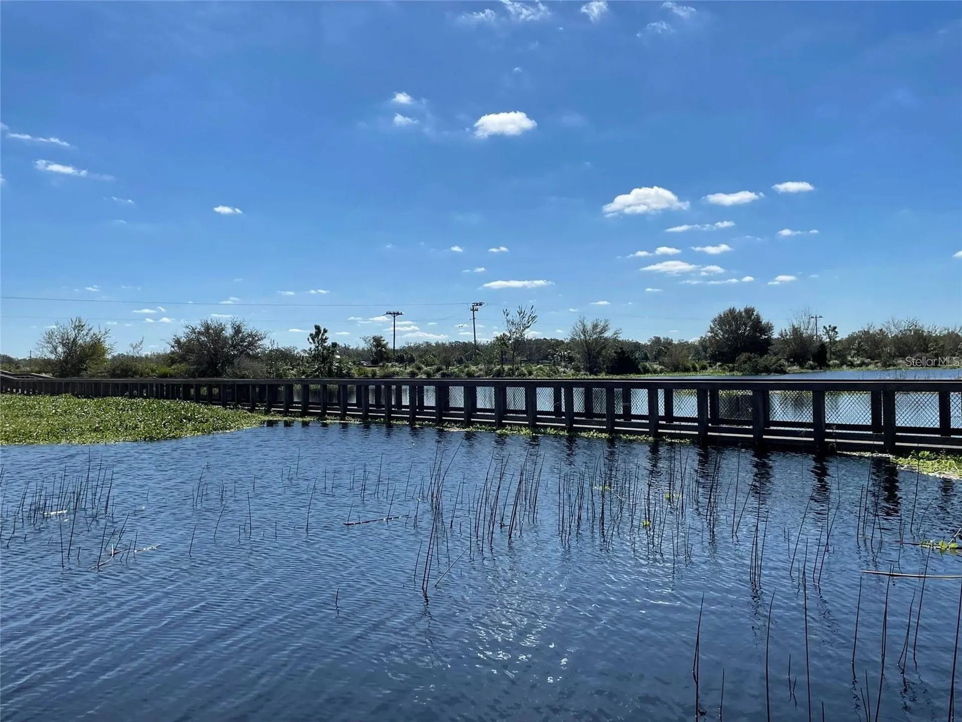 8425 Nandina Drive Sarasota FL 34240