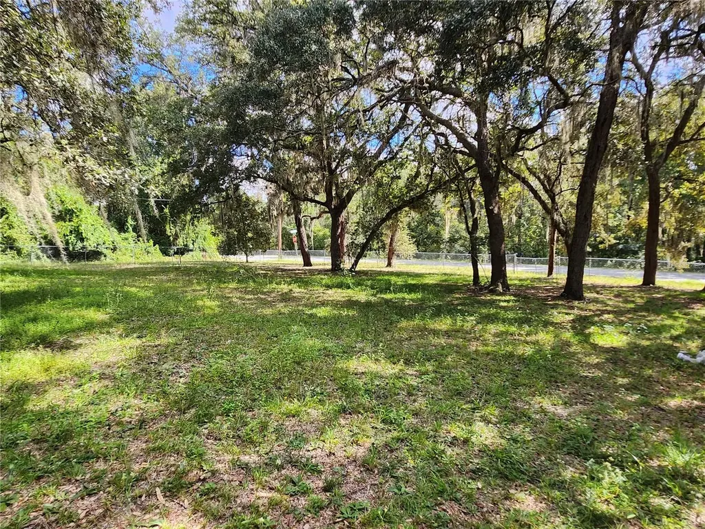 16930 SE 1st Lane Silver Springs FL 34488