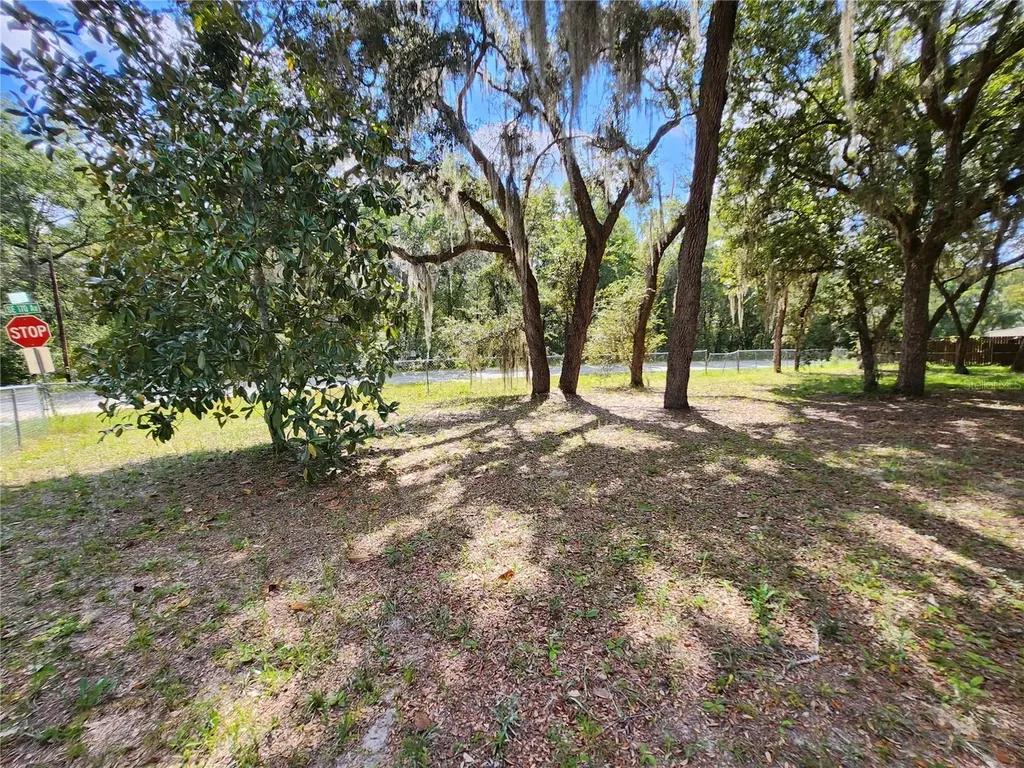 16930 SE 1st Lane Silver Springs FL 34488
