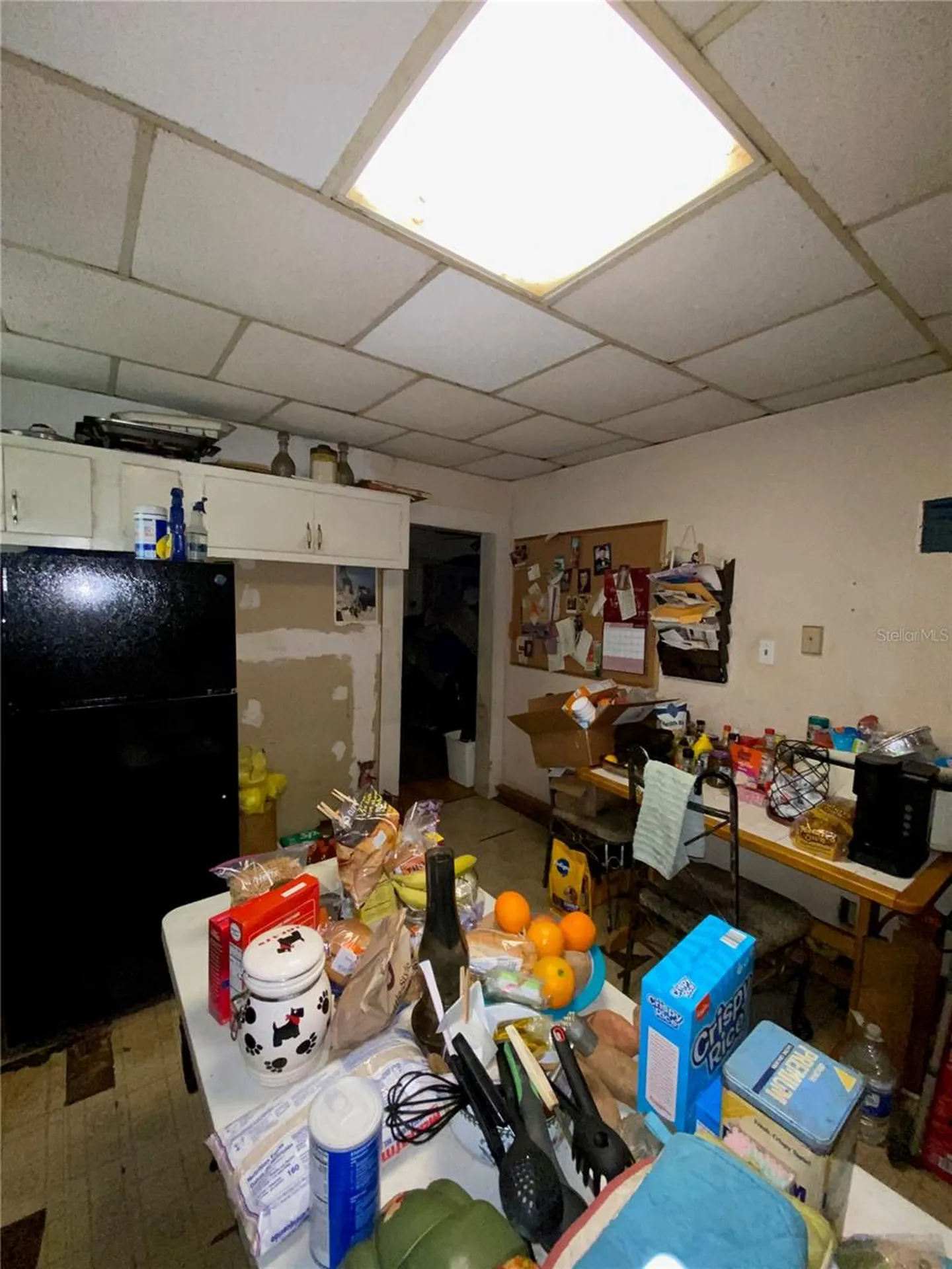 6909 N Navin Avenue Tampa FL 33604
