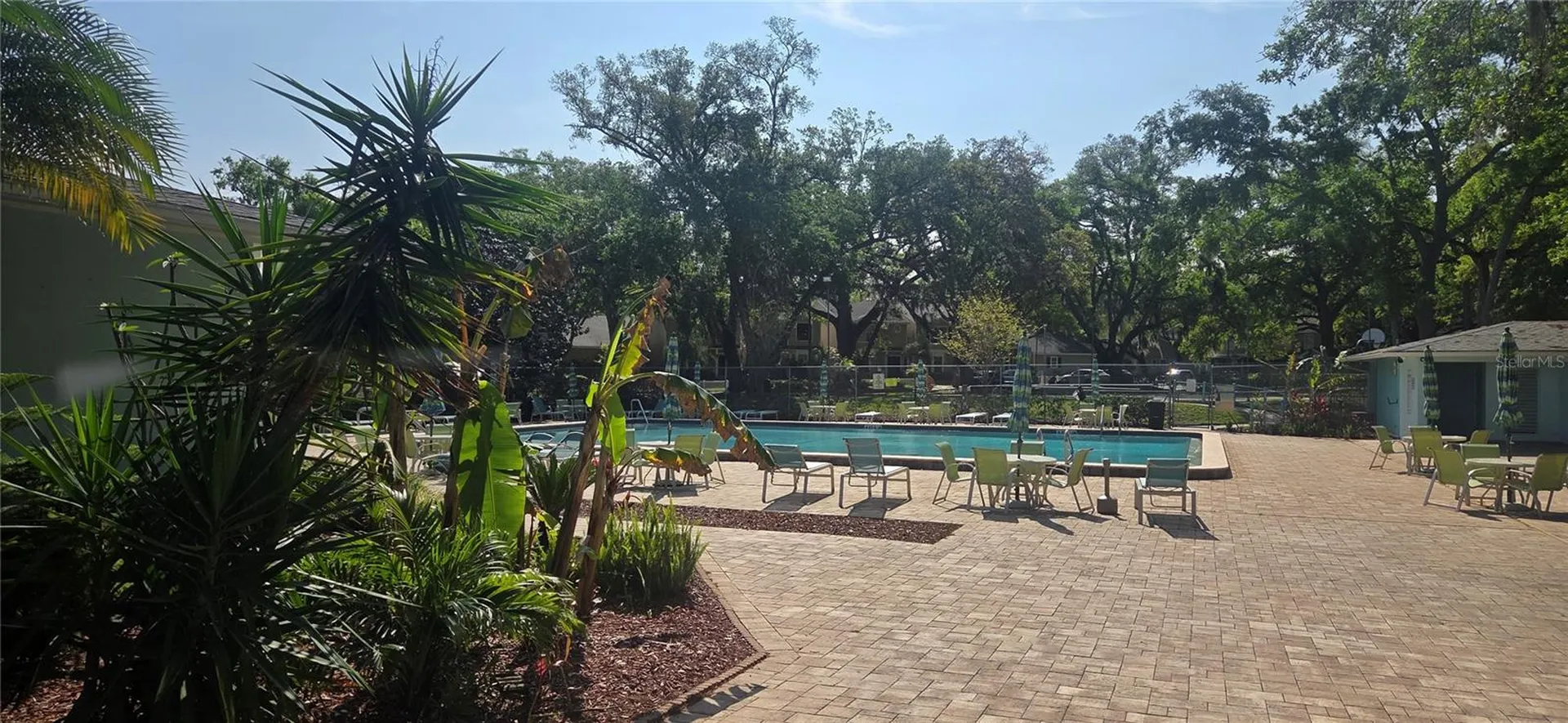 2101 Fox Chase Boulevard Palm Harbor FL 34683