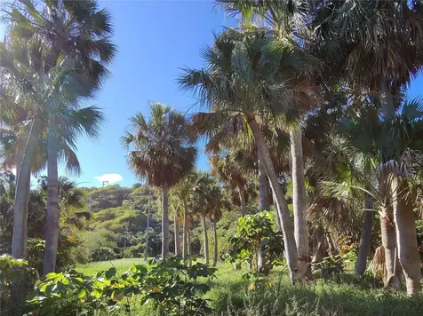 732 Pr-466 Bajuras Isabela PR 00662