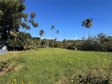 732 Pr-466 Bajuras Isabela PR 00662