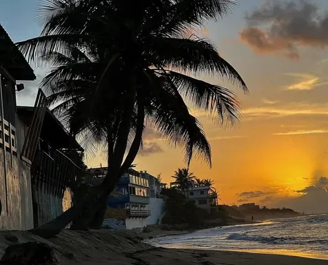 732 Pr-466 Bajuras Isabela PR 00662