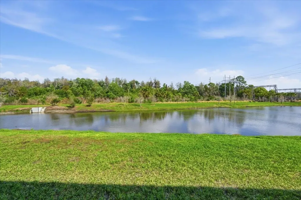 8327 Wildflower Glen Avenue Odessa FL 33556