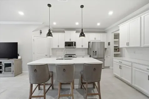 8327 Wildflower Glen Avenue Odessa FL 33556