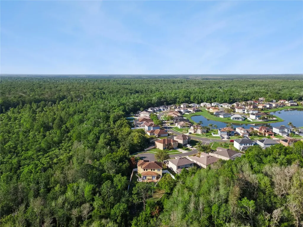 2606 Royal Fern Place Kissimmee FL 34758