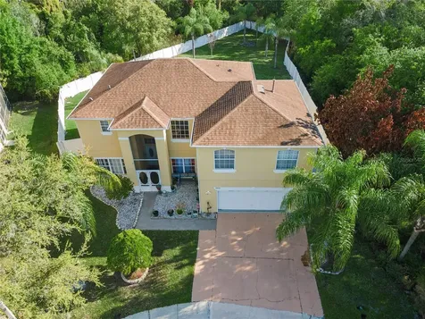2606 Royal Fern Place Kissimmee FL 34758