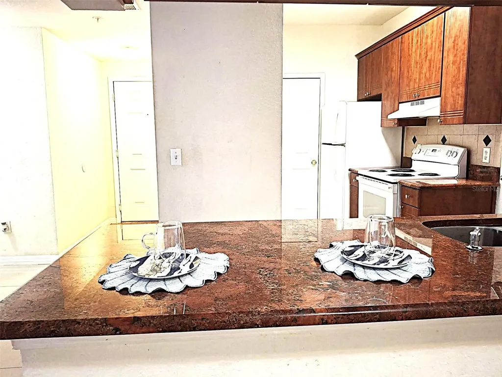 13304 Sanctuary Cove Drive Temple Terrace FL 33637