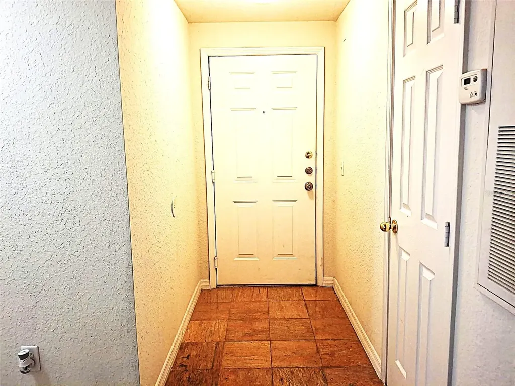 13304 Sanctuary Cove Drive Temple Terrace FL 33637