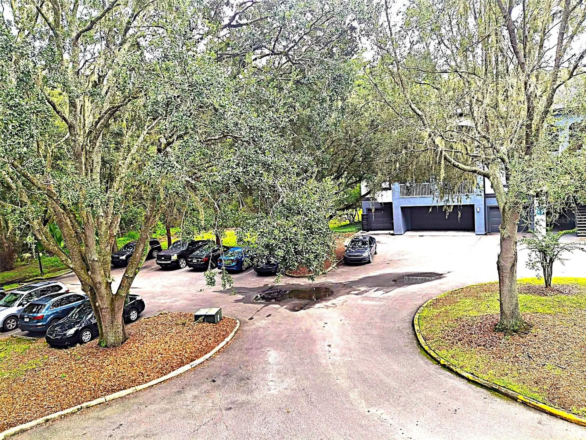 13304 Sanctuary Cove Drive Temple Terrace FL 33637