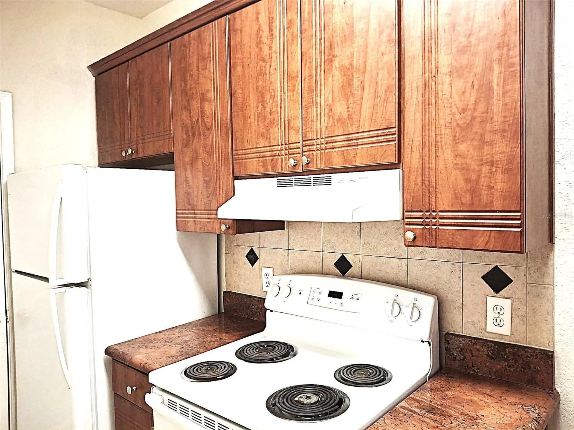 13304 Sanctuary Cove Drive Temple Terrace FL 33637