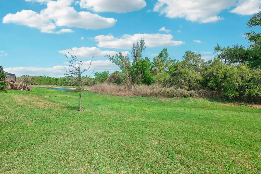 14162 Swiss Bridge Drive Riverview FL 33579