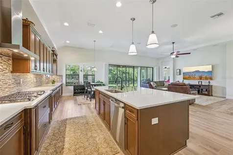 14162 Swiss Bridge Drive Riverview FL 33579