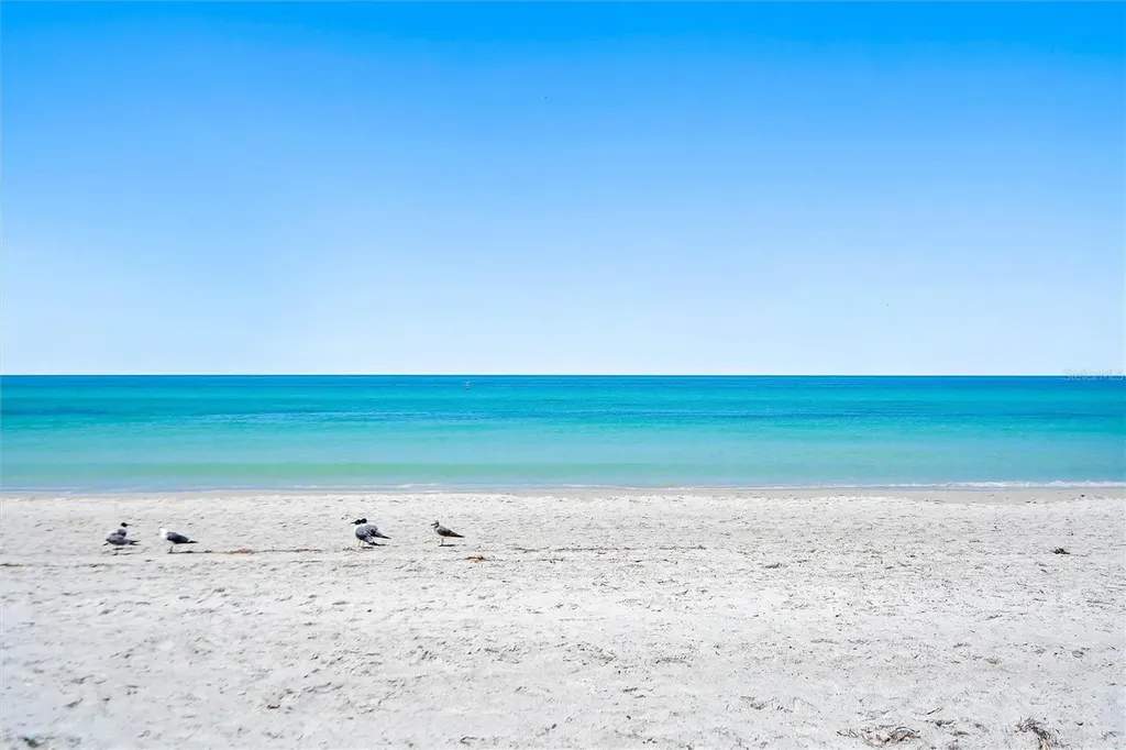 4103 Gulf Boulevard St Pete Beach FL 33706