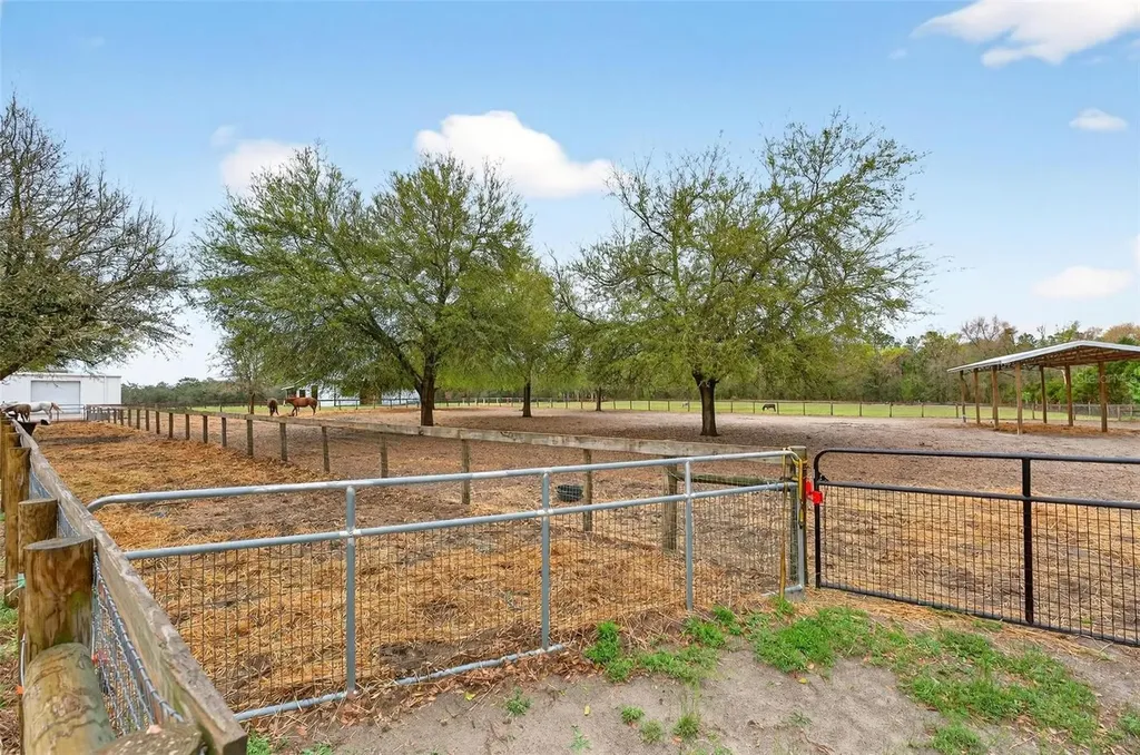 12650 SE 98th Lane Dunnellon FL 34431