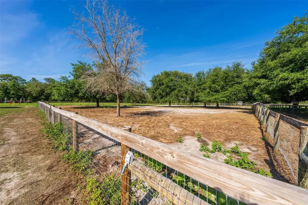 12650 SE 98th Lane Dunnellon FL 34431