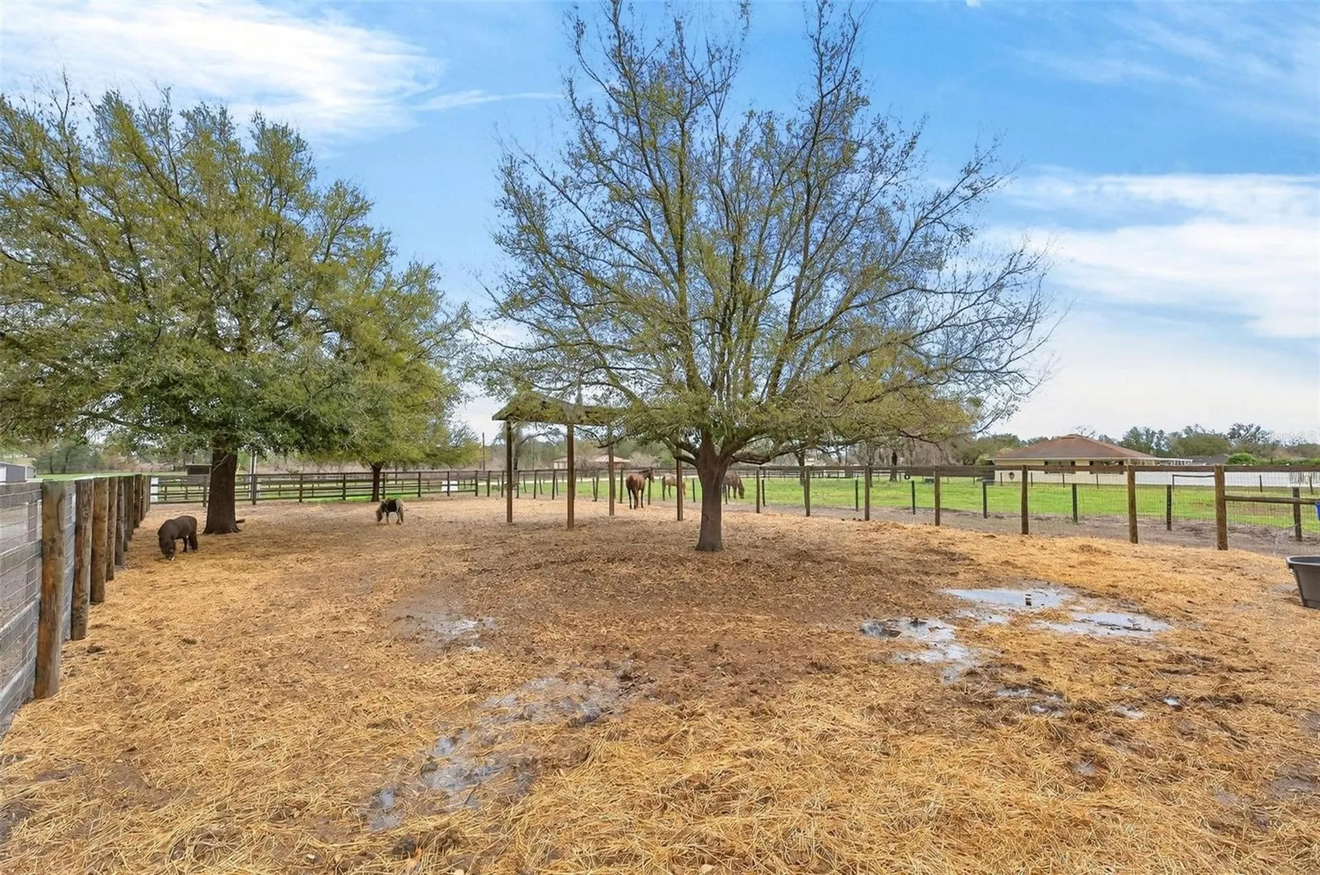 12650 SE 98th Lane Dunnellon FL 34431