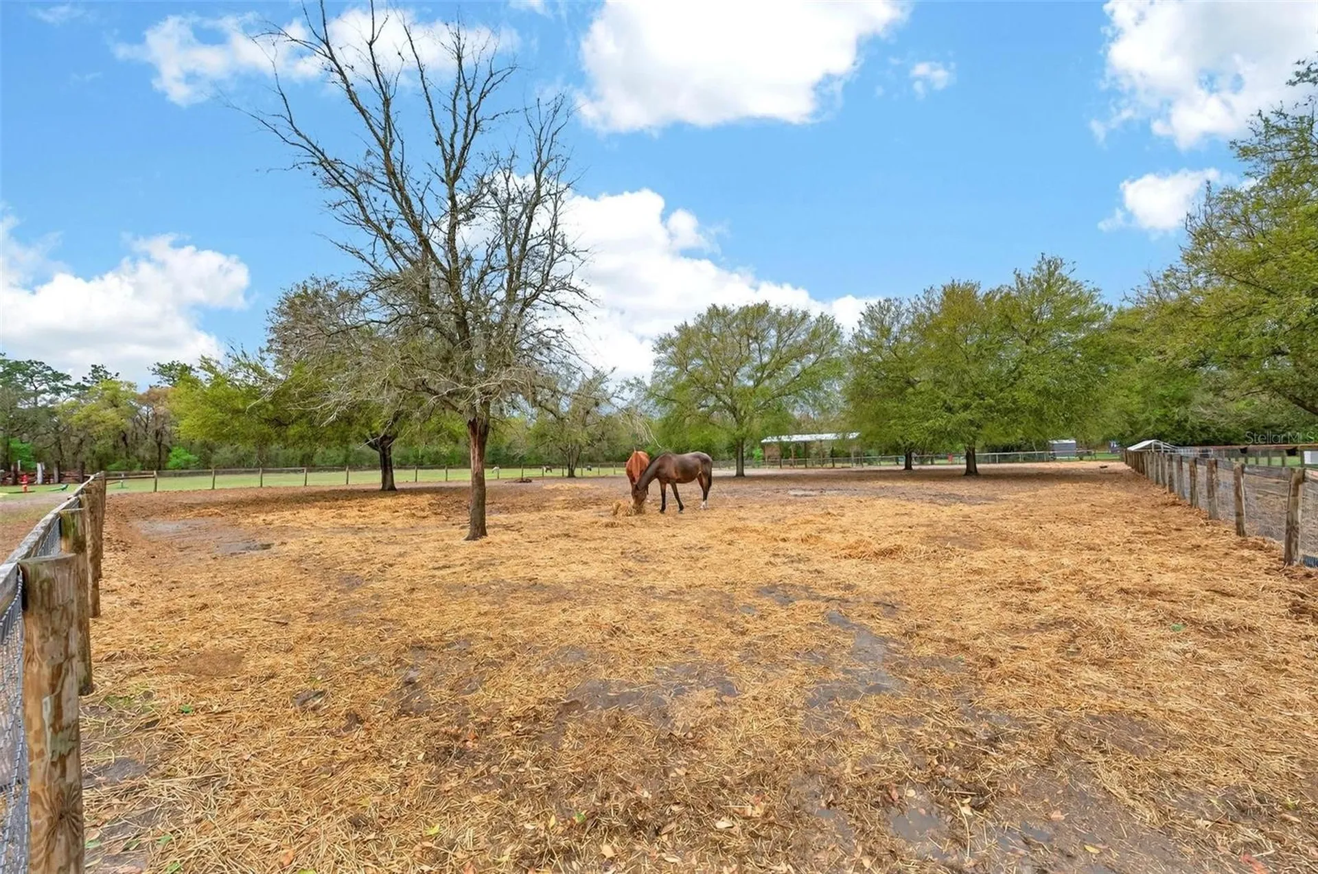 12650 SE 98th Lane Dunnellon FL 34431