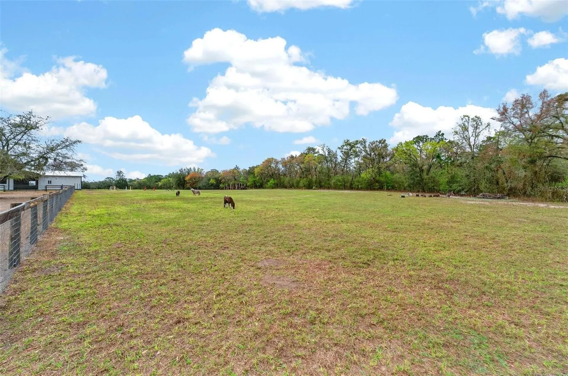 12650 SE 98th Lane Dunnellon FL 34431