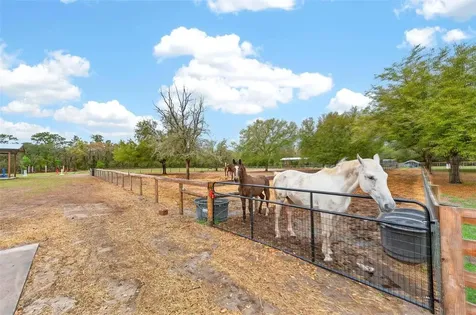 12650 SE 98th Lane Dunnellon FL 34431