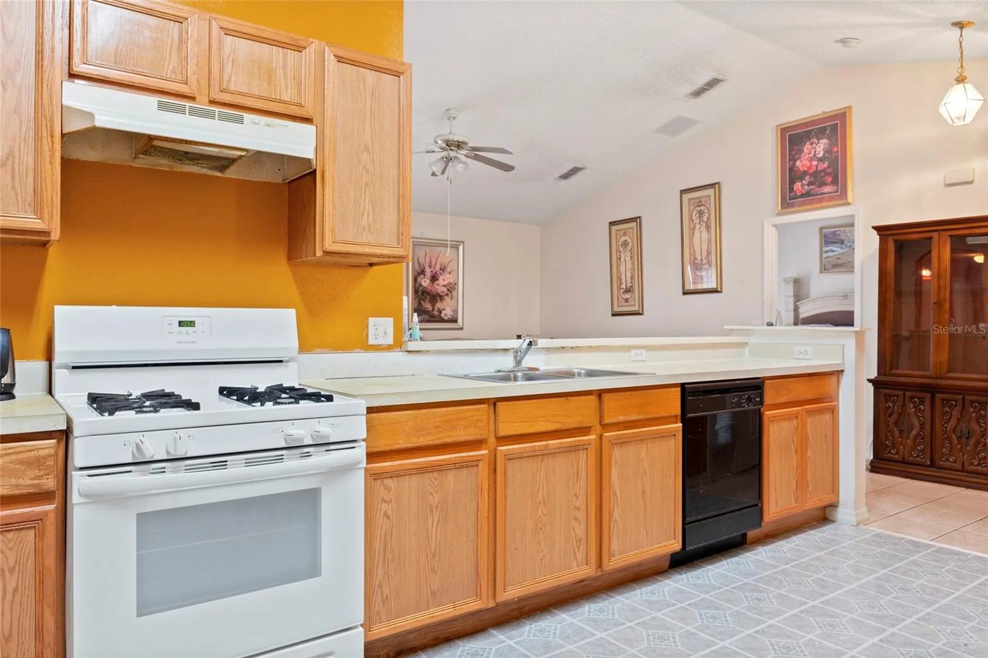 2419 Willow Tree Lane Kissimmee FL 34758