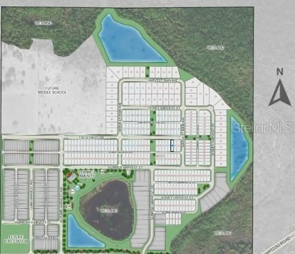 14736 Field Daisy Drive Winter Garden FL 34787