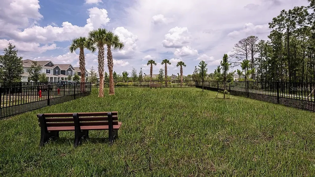 14736 Field Daisy Drive Winter Garden FL 34787