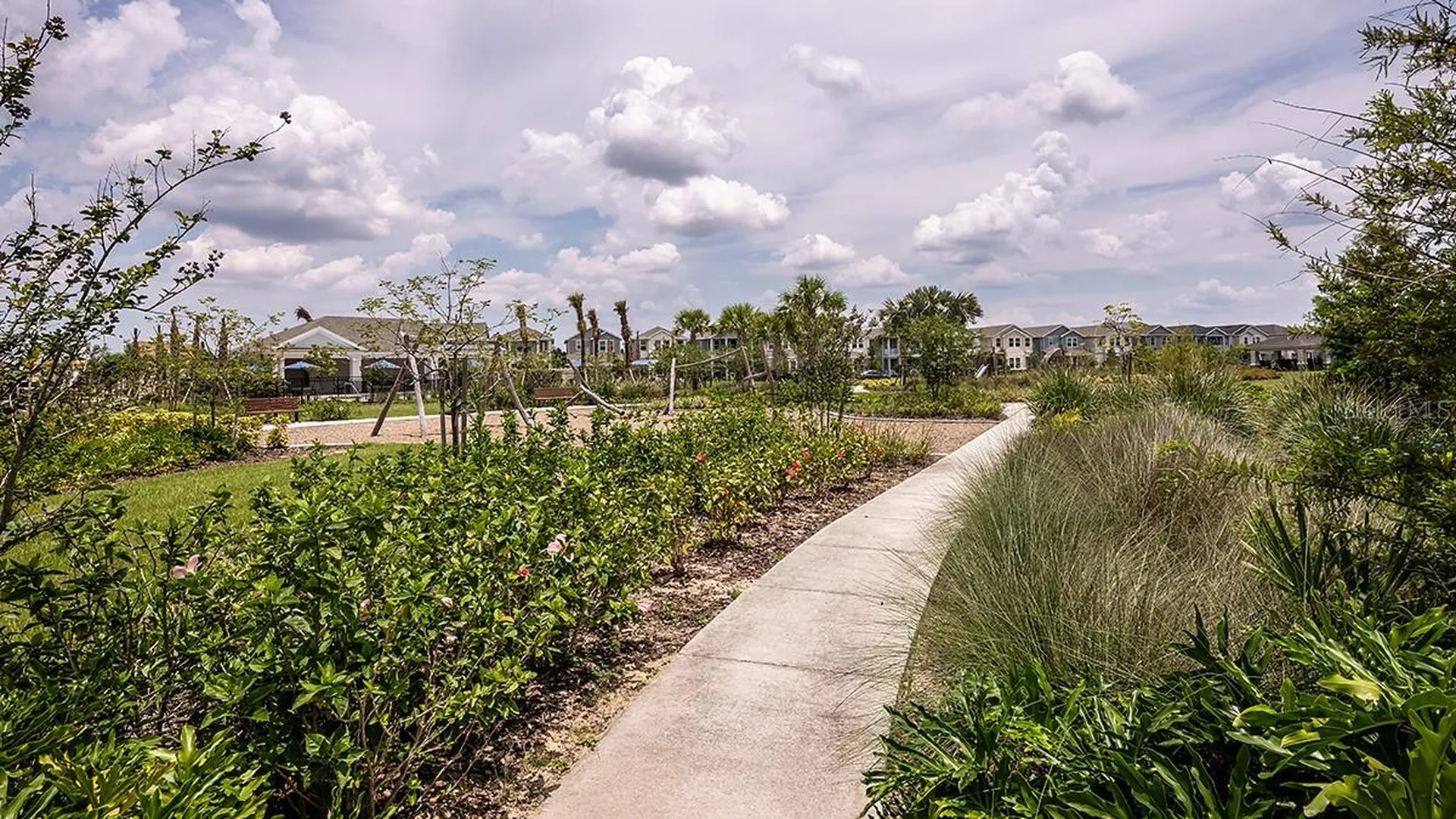 14736 Field Daisy Drive Winter Garden FL 34787
