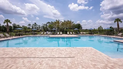 14736 Field Daisy Drive Winter Garden FL 34787