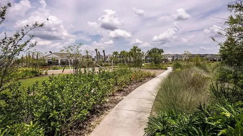 14736 Field Daisy Drive Winter Garden FL 34787