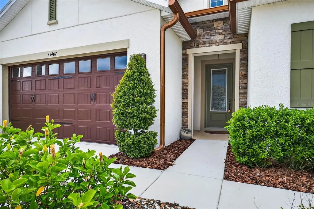 33487 Azalea Ridge Drive Wesley Chapel FL 33545
