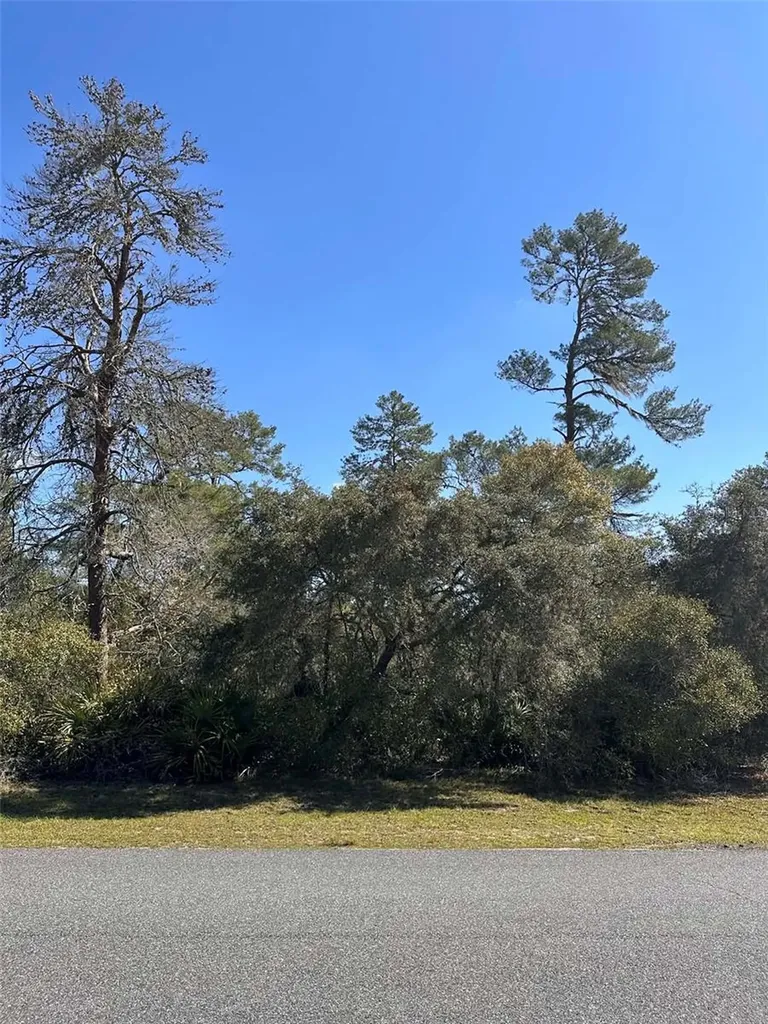 0 SW 36th Avenue Road Ocala FL 34473