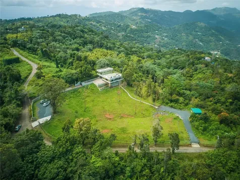RD15 Km20.6 Bo. Quebrada Arriba Cayey PR 00736