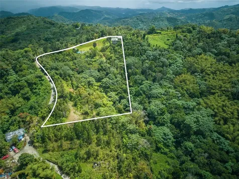 RD15 Km20.6 Bo. Quebrada Arriba Cayey PR 00736