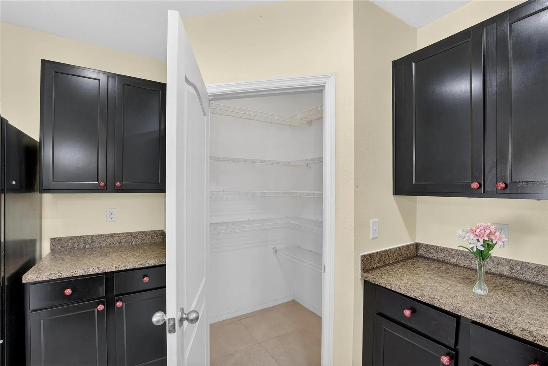 3540 San Moise Place Plant City FL 33567
