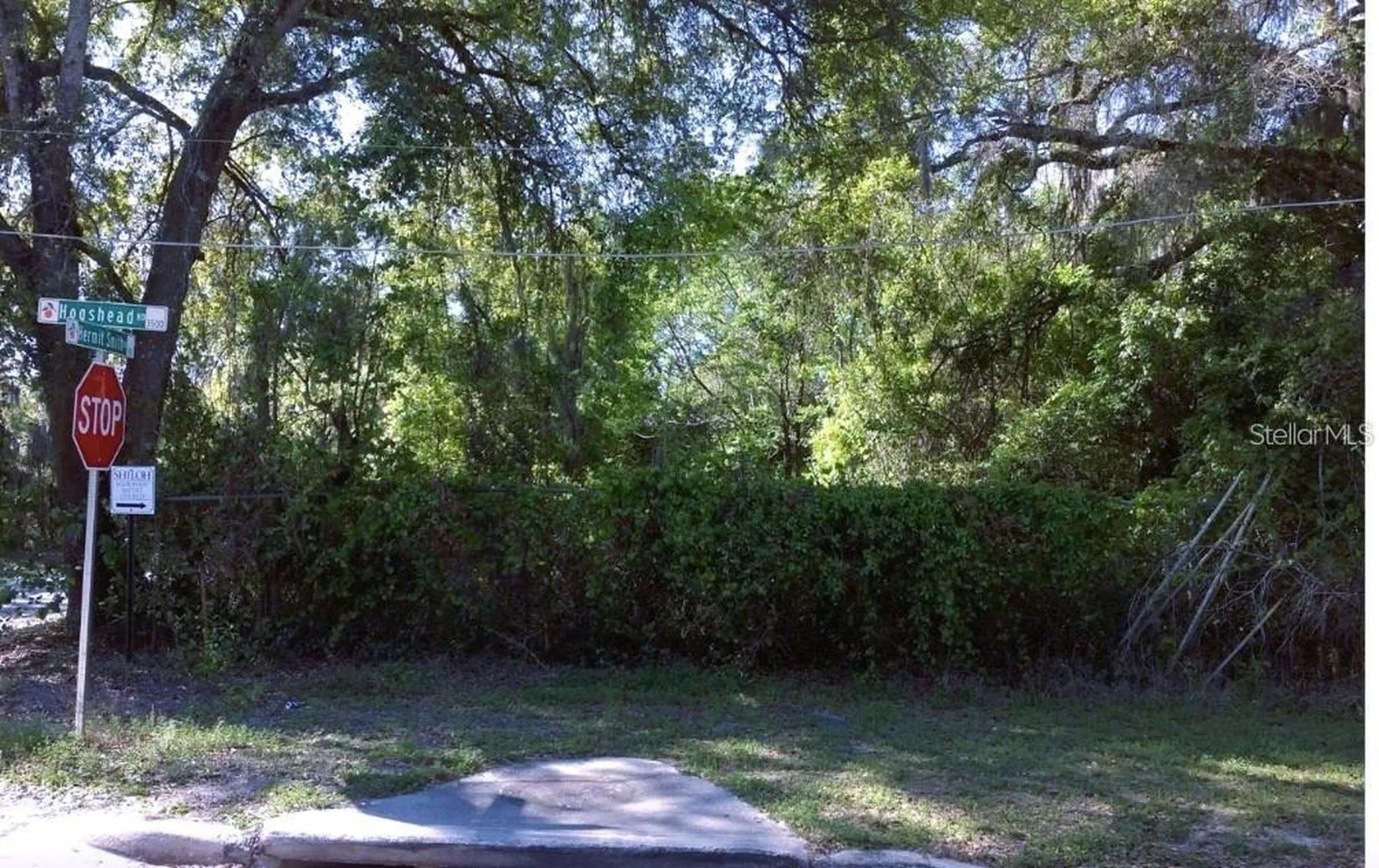 3504 Hogshead Road Apopka FL 32703
