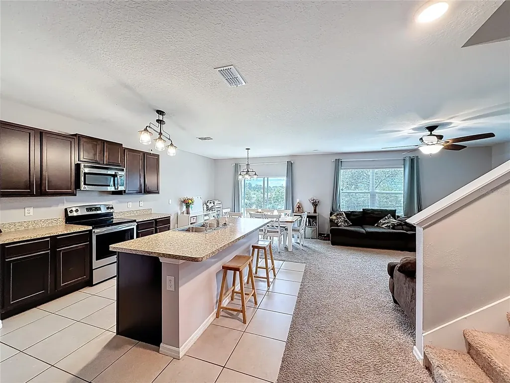 3689 Maidencain Street Clermont FL 34714