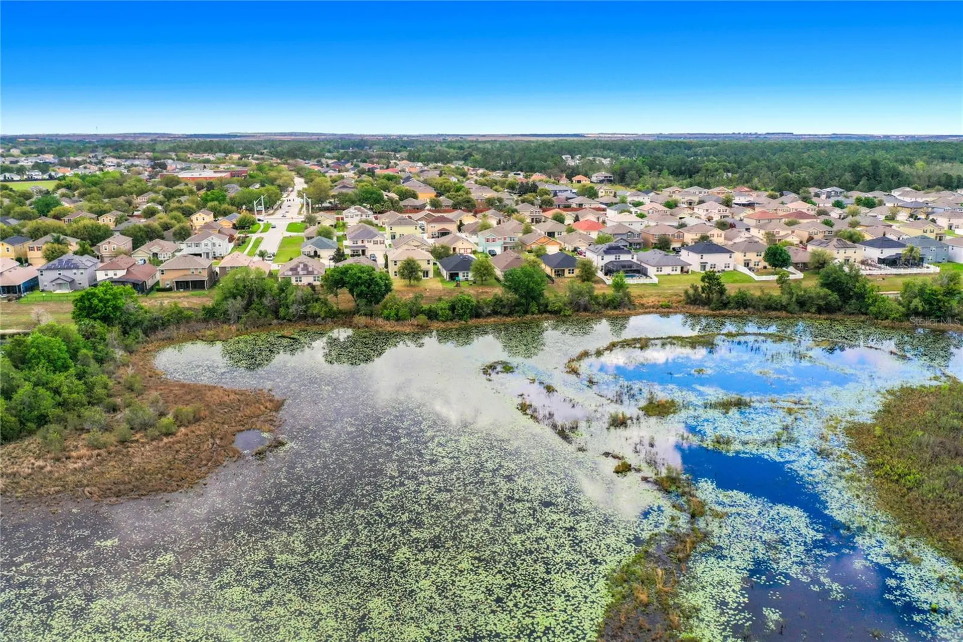 3689 Maidencain Street Clermont FL 34714
