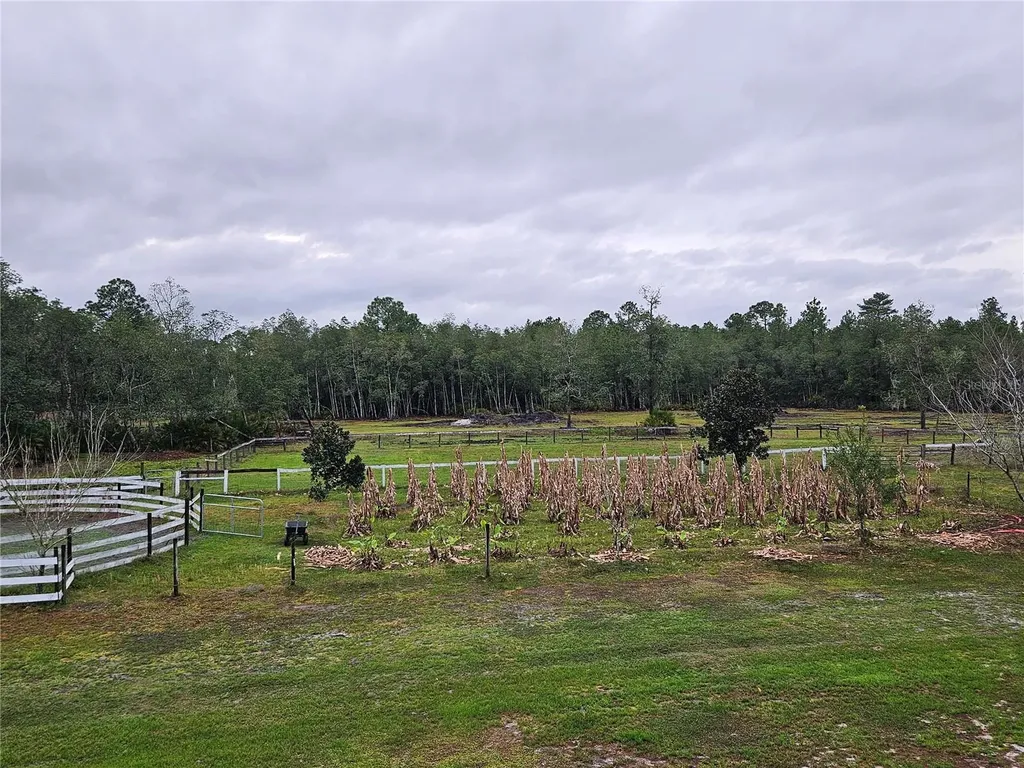980 Still Road Pierson FL 32180