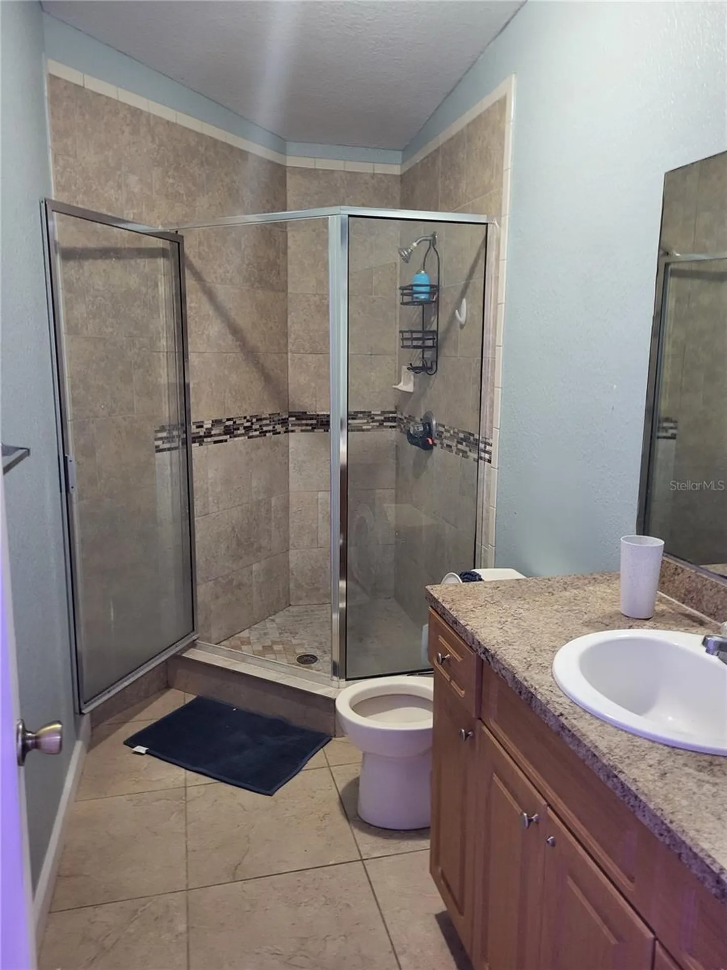 6217 Blossom Avenue Tampa FL 33614
