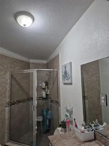 6217 Blossom Avenue Tampa FL 33614