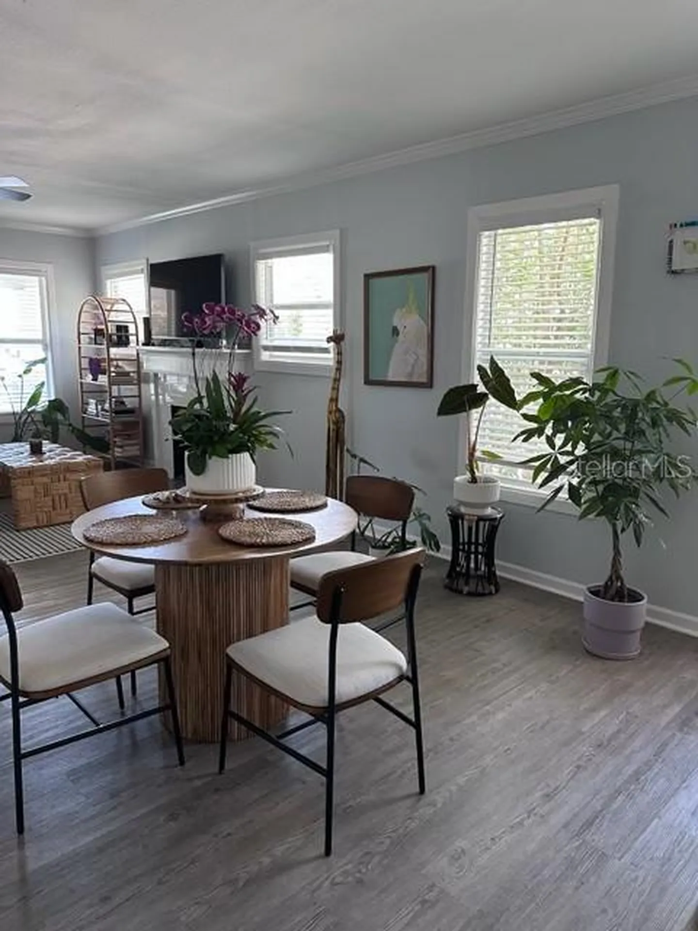 7211 N Taliaferro Avenue Tampa FL 33604