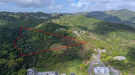 Pr 7784 Km 1.0 Turabo Caguas PR 00725